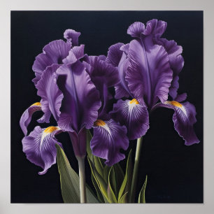 Purple Irises Flower Art Print Poster
