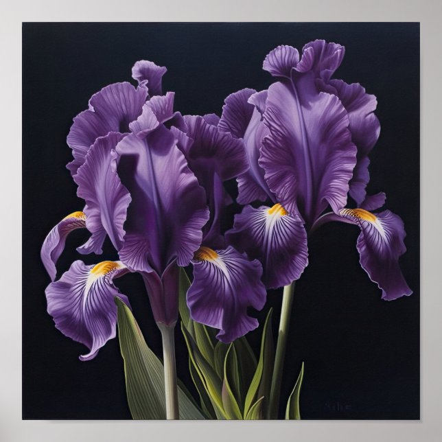 Purple Irises Flower Art Print Poster (Front)