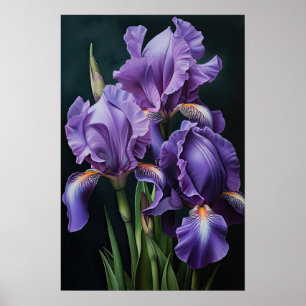 Purple Irises Flower Art Print Poster