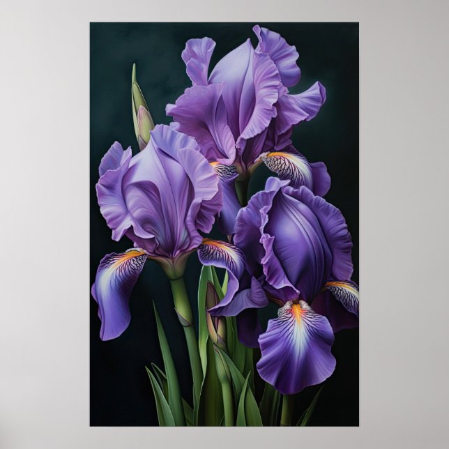 Purple Irises Flower Art Print Poster (Front)