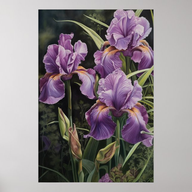 Purple Irises Flower Art Print Poster (Front)
