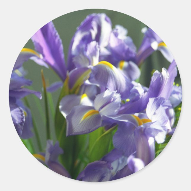 Purple Irises Flower Art Sticker Decals (Front)