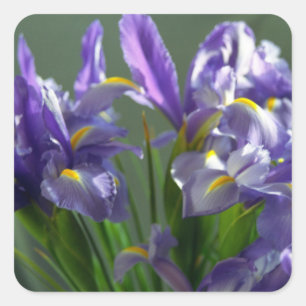 Purple Irises Flower Art Sticker Decals