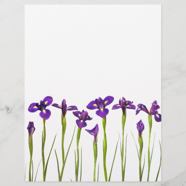 Purple Irises - Iris Flower Customized Template (Front)