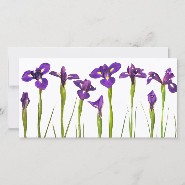 Purple Irises - Iris Flower Customized Template (Front)