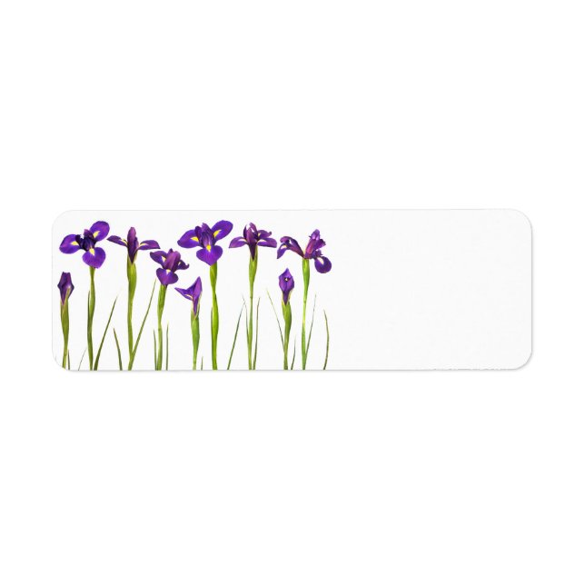 Purple Irises - Iris Flower Customized Template (Front)