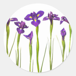 Purple Irises - Iris Flower Customized Template Classic Round Sticker