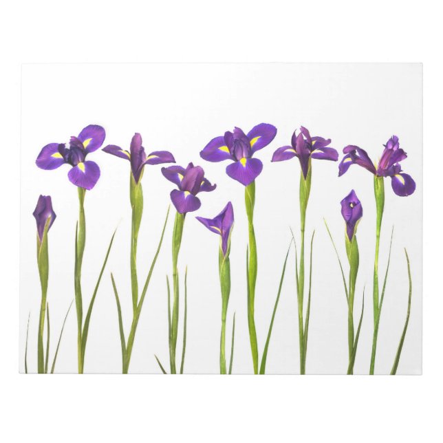 Purple Irises - Iris Flower Customized Template Notepad (Front)
