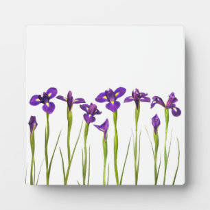 Purple Irises - Iris Flower Customized Template Plaque