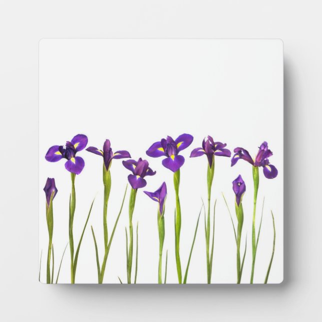 Purple Irises - Iris Flower Customized Template Plaque (Front)