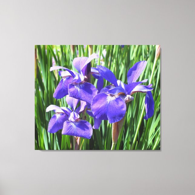 Purple Irises On Canvas (Front)
