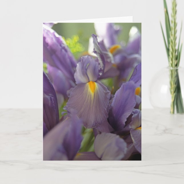 Purple Irises Photo Greeting Card (Front)