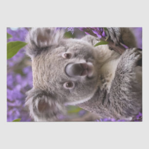 Purple Jacaranda Koala Bear, Tissue Paper