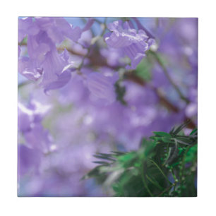 Purple Jacaranda Tree Flowers Tile