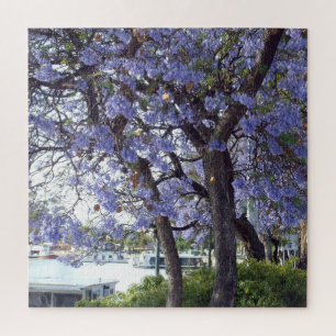 Purple Jacaranda Trees On River Murray, Puzzle