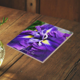 Purple Japanese Iris Bloom Floral Tile