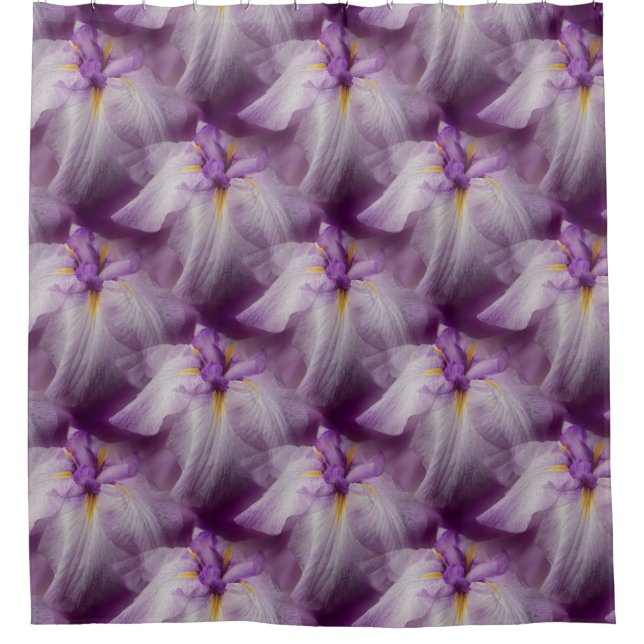 Purple Japanese Iris Flower Pattern (Front)