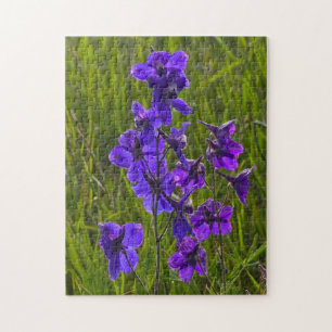 Purple Larkspur in the Evening Jigsaw Puzzle