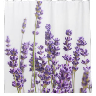 Purple Lavender #1 #decor #art