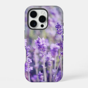 Purple Lavender Field iPhone 16 Pro Case