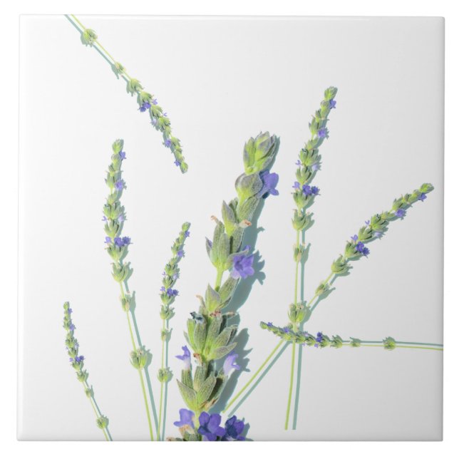 Purple Lavender Flower Flowers Tile (Front)