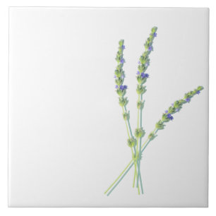 Purple Lavender Flower Flowers Tile