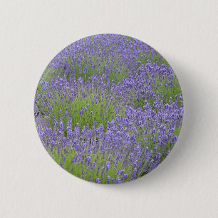 Purple lavender flower garden 2 inch round button