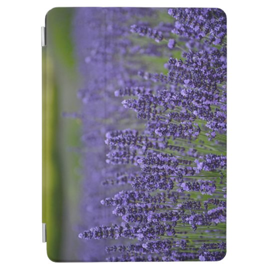 Purple lavender flower garden iPad air cover