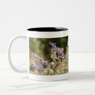 Purple lavender flower in a garden during summer p Two-Tone coffee mug