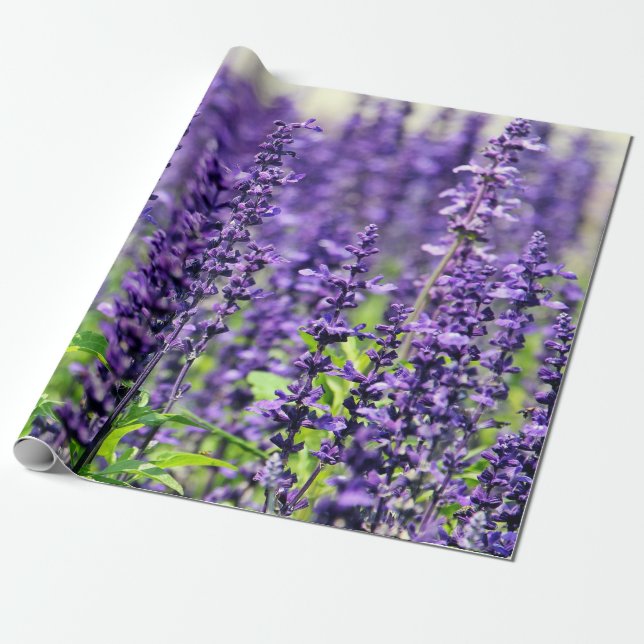Purple Lavender Flowers Wrapping Paper (Unrolled)