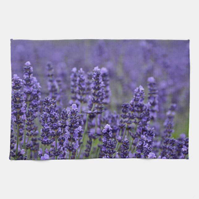 Purple lavender meadow kitchen towel (Horizontal)