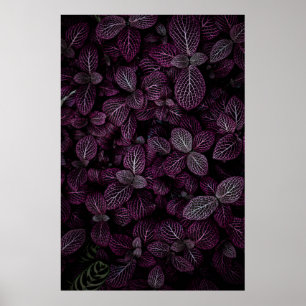 PURPLE LEAFED PLANT FIELD POSTER