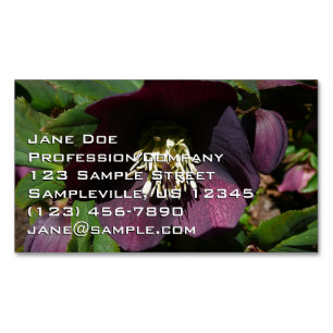 Purple Lenten Rose Easter Flower Magnetic Business Card