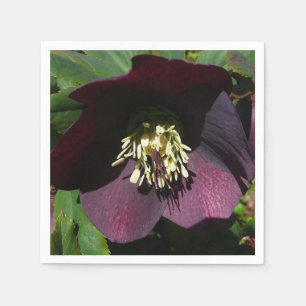Purple Lenten Rose Easter Flower Napkin