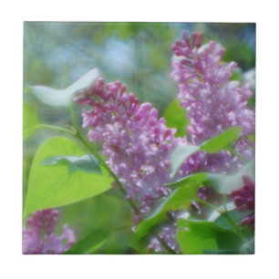 Purple Lilac Flowers Tile
