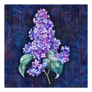 Purple Lilac on Navy Decorative Background Photo Print