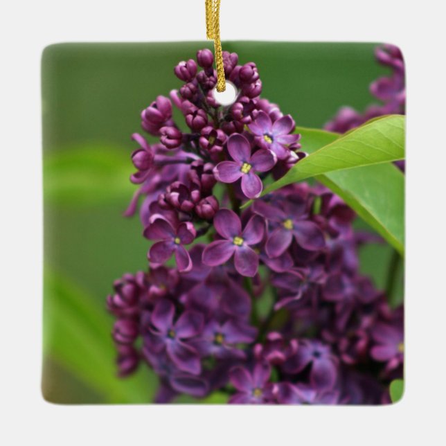 Purple Lilac Ornament (Front)