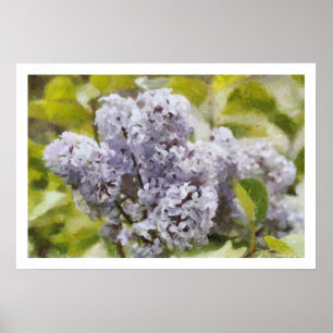 Purple Lilac Poster