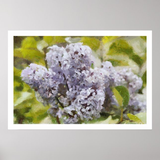 Purple Lilac Poster (Front)