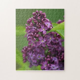 Purple Lilac Puzzle