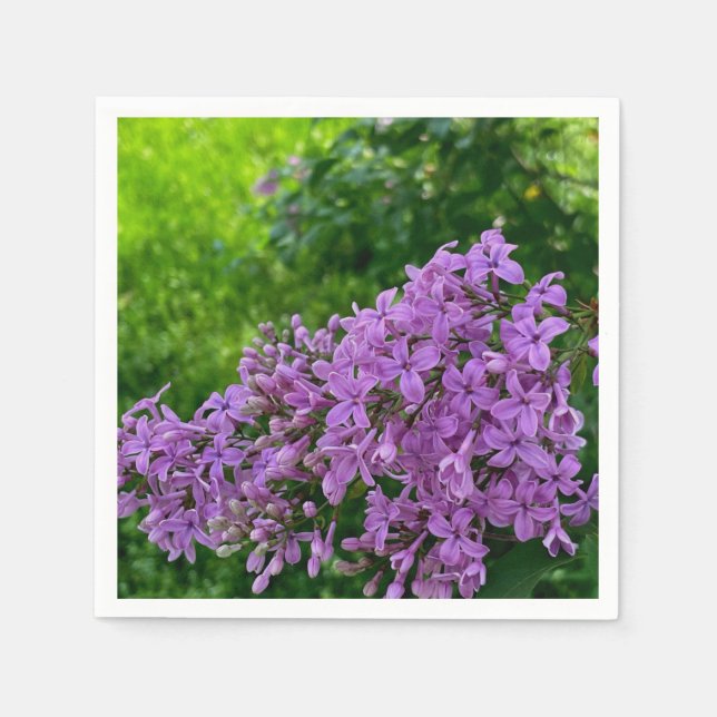 Purple lilacs romantic elegant purple floral photo napkin (Front)