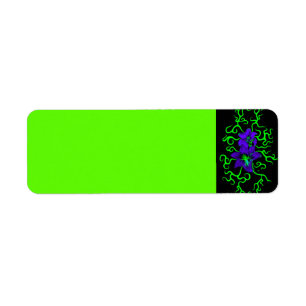 Purple Lily Flower on black