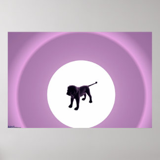 Purple Lion Poster