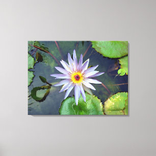Purple Lotus Canvas Print