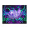 Purple lotus flower and its meaning