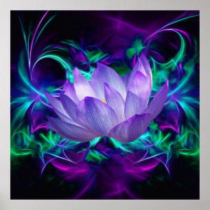 Purple Lotus flower and its meaning Poster
