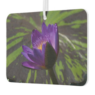 Purple Lotus Waterlily Air Freshener