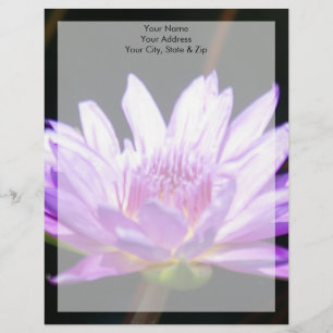 Purple Lotus Waterlily Flower Letterhead
