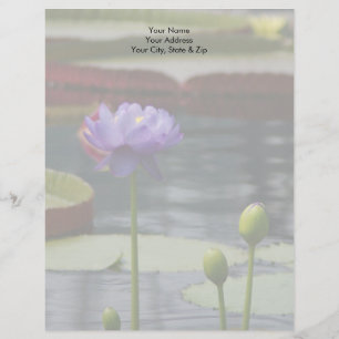 Purple Lotus Waterlily Flower Letterhead