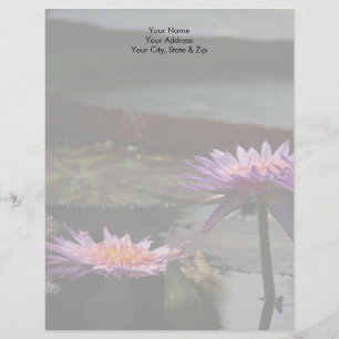 Purple Lotus Waterlily Flowers Letterhead